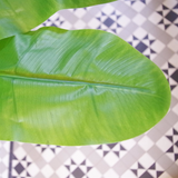 Leaf 180cm Artificial Banana Tree with Copper Metal Planter – Tropical Faux Plant for Home