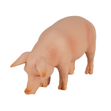 Mojo Wild Boar Figurine – Realistic Farm and Forest Animal Toy