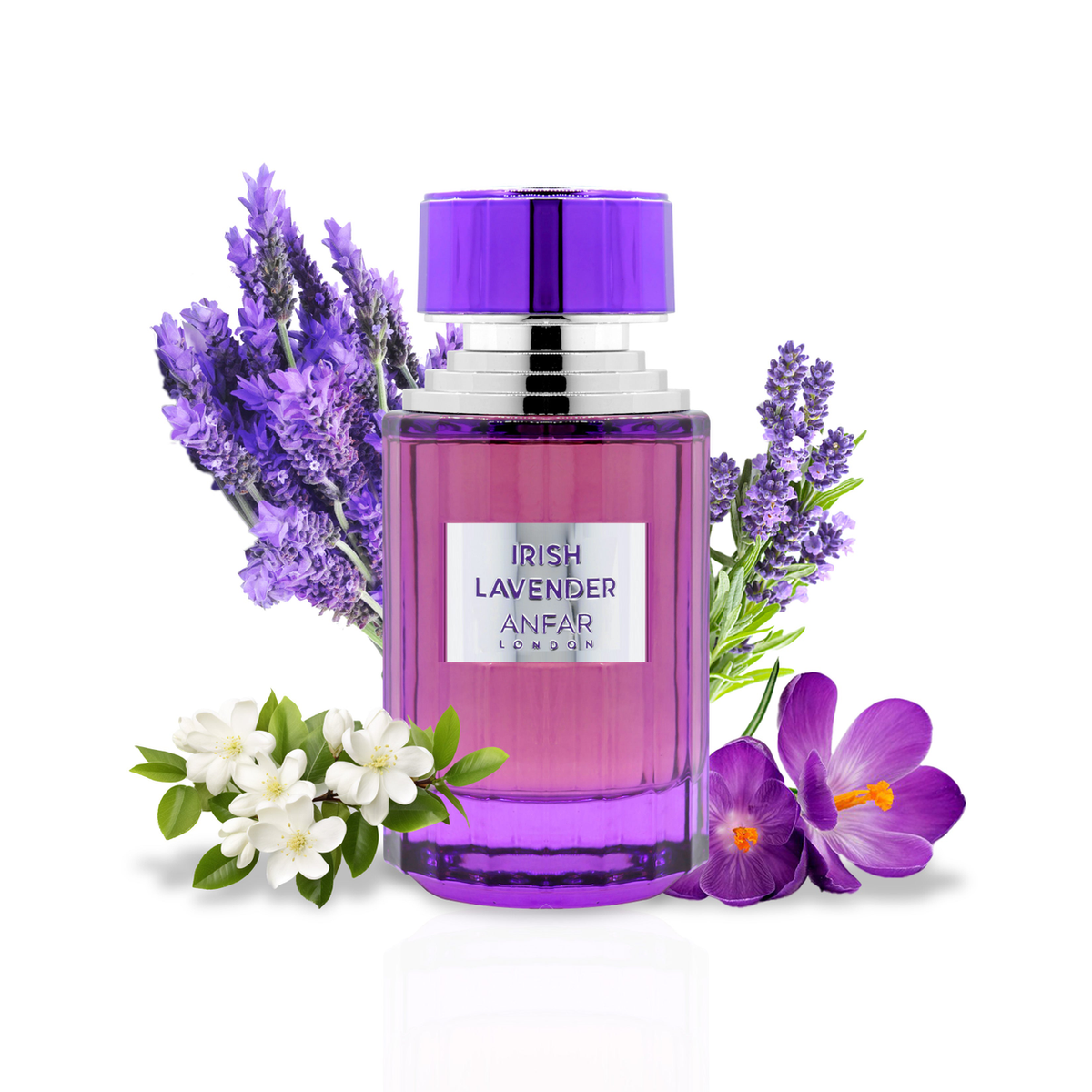 Irish Lavender Eau de Parfum 100ml – Aromatic, Fresh & Citrus Fragrance for Women