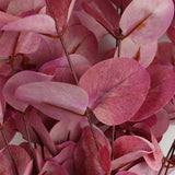 Leaf Pink Eucalyptus Artificial Foliage Stem with Silk Leaves and Wired Stem – 80cm Home Decor