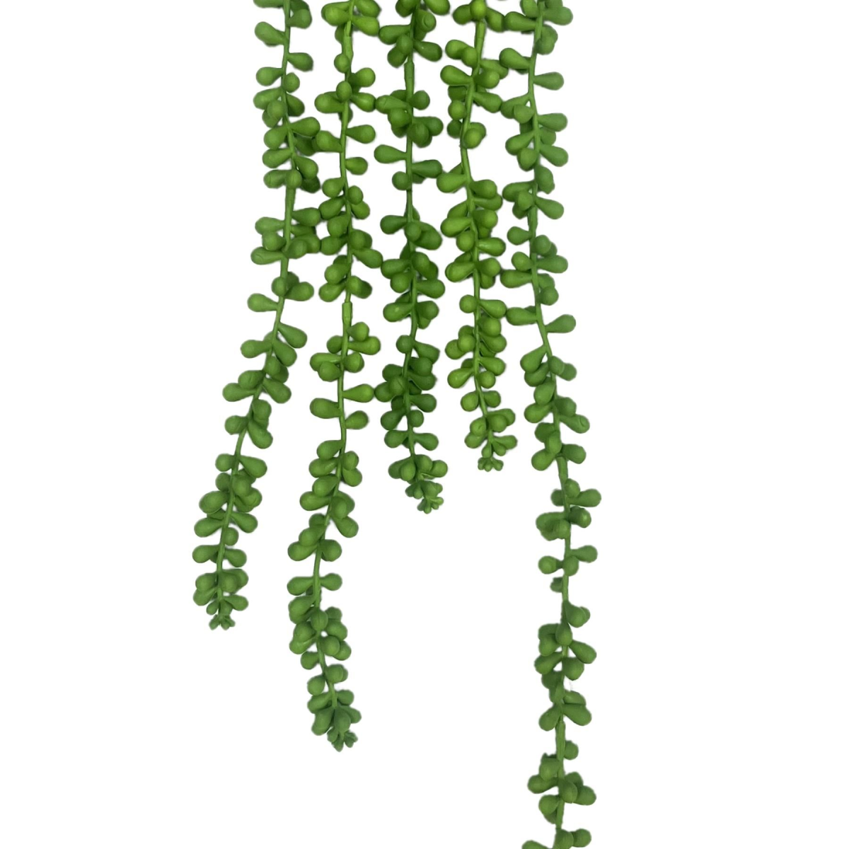 Leaf Artificial String of Hanging Pearls Trailing Foliage, Pack of 6 – Maintenance-Free Hanging Plants, 70cm