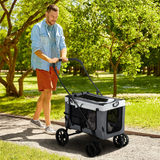 PawHut Foldable Pet Stroller with Detachable Carrier, Soft Padding & Storage Pouch for Small Dogs – Grey