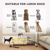 Foldable Elevated Dog Bed with Breathable Texteline Mesh & Steel Frame – Raised Pet Bed for Large Dogs, Light Grey