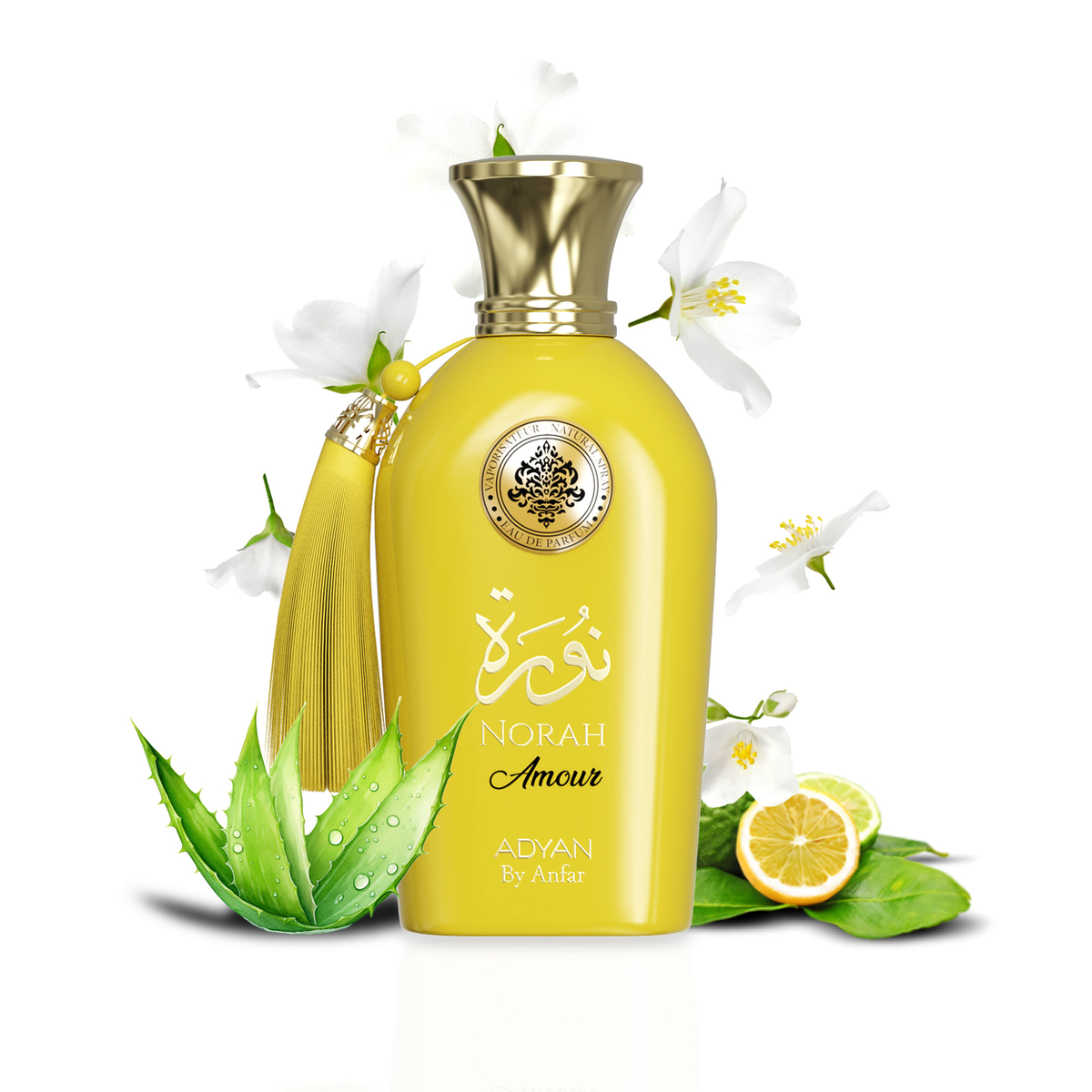 Adyan Norah Amour Eau de Parfum 100ml – Pear, Tuberose & Vanilla Fragrance for Women