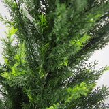 Artificial Cedar Tree, 120cm UV Resistant – Realistic Indoor & Outdoor Topiary in Pot