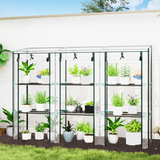 Outsunny 3-Tier Lean-to Wall Mini Greenhouse with Clear Roll-Up Doors & Plastic Cover – Plant Shelves