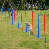 Dog Agility Set with Hoop, Poles, Tunnel & Carrying Bag – Pet Training Play Kit, Obedience Equipment