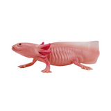 Mojo Axolotl Toy Figure – Realistic Hand-Painted Amphibian Model