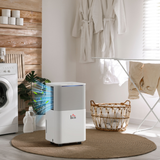 Portable Quiet Dehumidifier 10L/Day with 2L Water Tank – Damp, Condensation & Laundry Drying