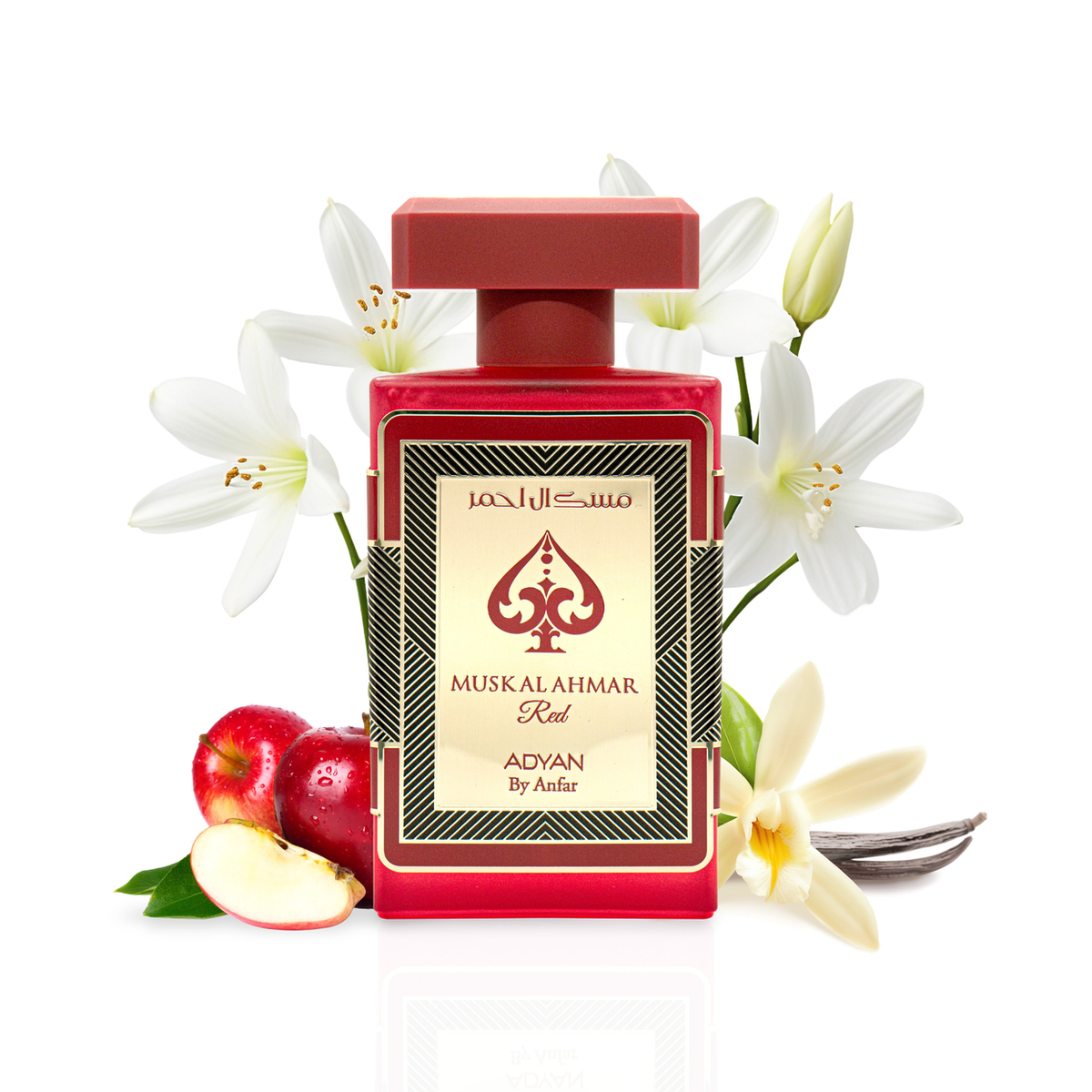 Adyan Musk Al Ahmar Red Eau de Parfum 100ml – Fruity Floral Vanilla Fragrance
