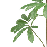 Leaf 120cm Dwarf Umbrella Realistic Artificial Tree in Black Pot – Schefflera Arboricola, Wired Stems