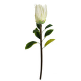 Artificial White Protea Sugarbush Stems, Pack of 6 – 65cm Wired Silk Flowers for Displays