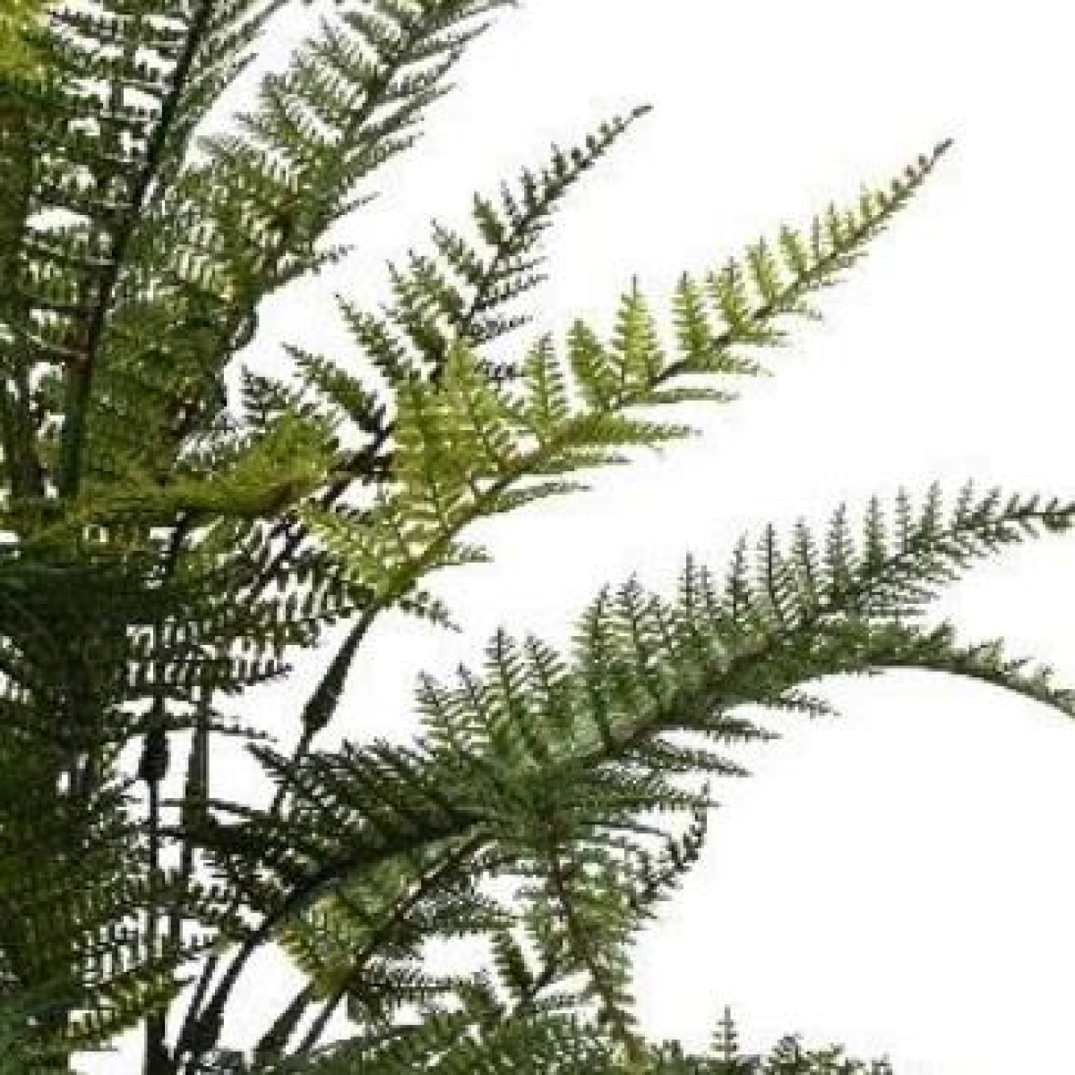 Fire Retardant Artificial Fern Foliage Branch, 78cm – Maintenance-Free Greenery, Bare Stem No Pot