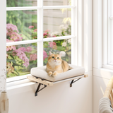 PawHut Cat Radiator Bed with Adjustable Bracket, Hanging Hammock & Cushion – Pine Wood Window Perch, Cream