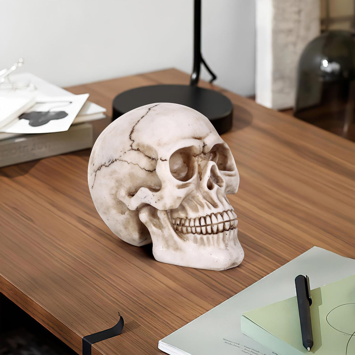 Vinsani Life-Size Resin Halloween Skull Replica, 20 x 15 x 15cm – Realistic Gothic Decoration and Costume Prop