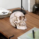 Vinsani Life-Size Resin Halloween Skull Replica, 20 x 15 x 15cm – Realistic Gothic Decoration and Costume Prop