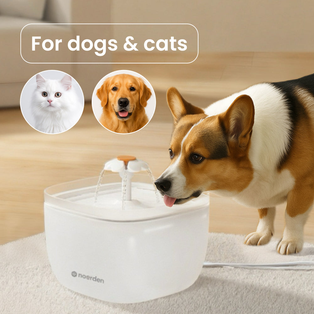 PawQuench Quiet Pet Water Fountain, 2L with 360° Waterfall Flow & 4-Stage Filtration – For Cats and Dogs