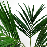 Leaf 120cm Artificial Kentia Palm Tree with Silk Leaves – Weighted Black Pot, Realistic Indoor Plant