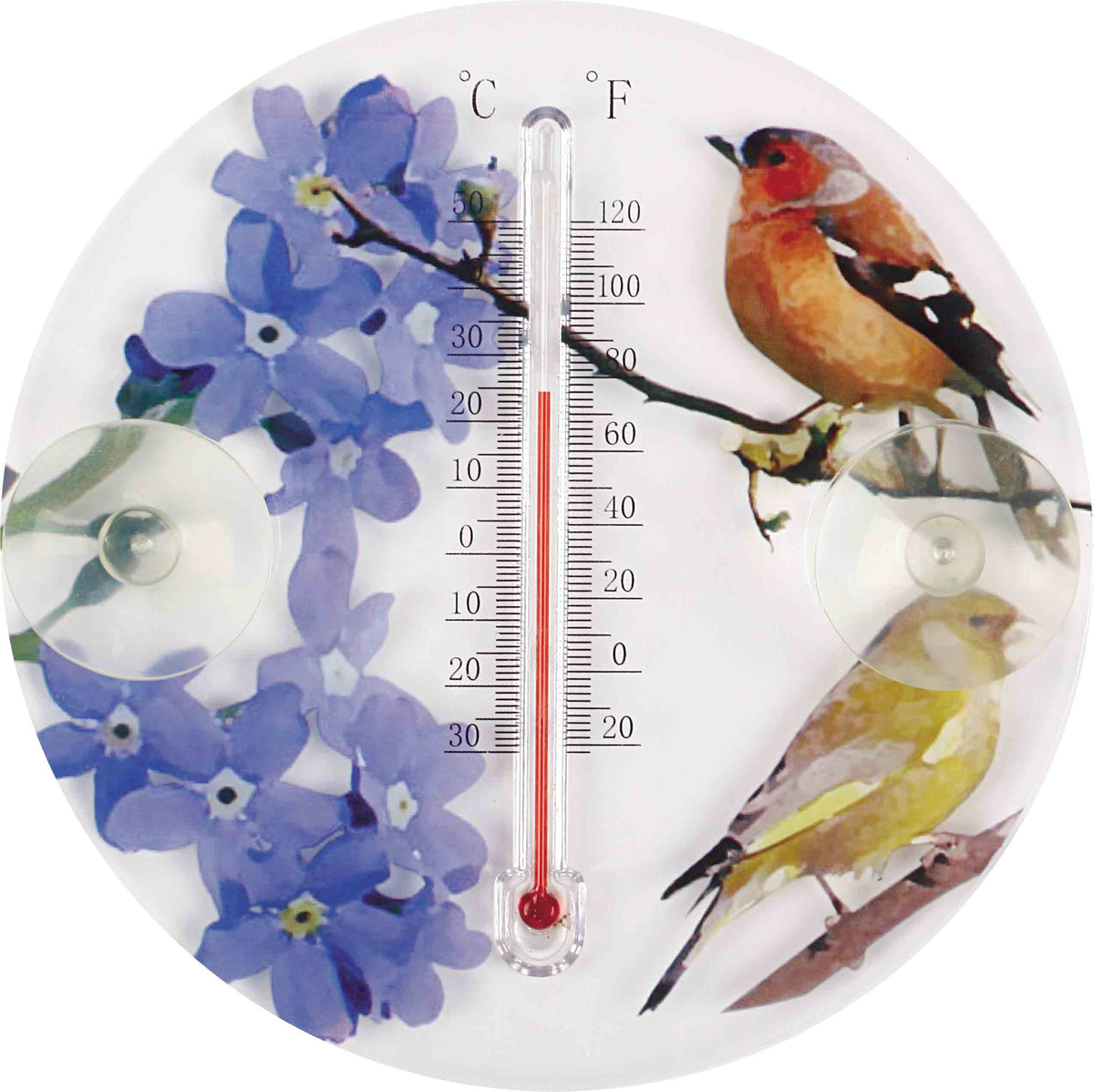 Avilo Outdoor Window Thermometer – Edwardian Ornithological Bird Illustrations, Garden Window Decor