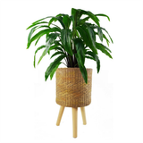 54cm x 30cm Rattan Effect Composite Large Planter