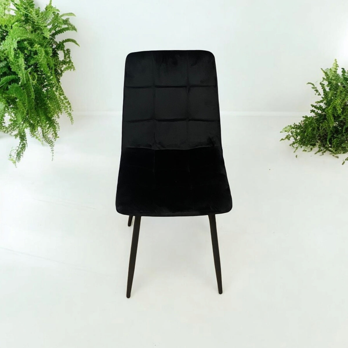 AcaciaHome Velvet Padded Dining Chair with Black Metal Legs