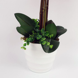 Leaf 85cm Artificial Deluxe Bush Orchid with 56 Dark Pink Flowers – Table Centrepiece in Plastic Pot