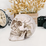 Vinsani Life-Size Resin Halloween Skull Replica, 20 x 15 x 15cm – Realistic Gothic Decoration and Costume Prop