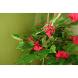 Artificial Pink Japanese Silk Blossom Tree, 150cm – Bougainvillea with Twisted Trunk & Wired Stems