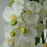 Giant White Artificial Orchid Plant, 150cm with 189 Real Touch Flowers – Wired Stems, Potted