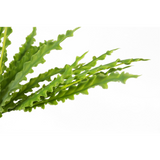 40cm Artificial Crocodile Fern Plant