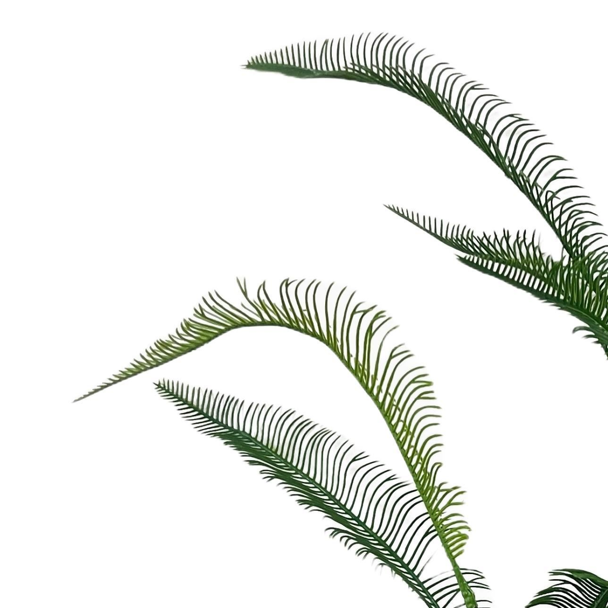 Pack of 6 Artificial Fern Sprays, 100cm Wired Stems – Realistic Foliage for Vases & Floral Displays