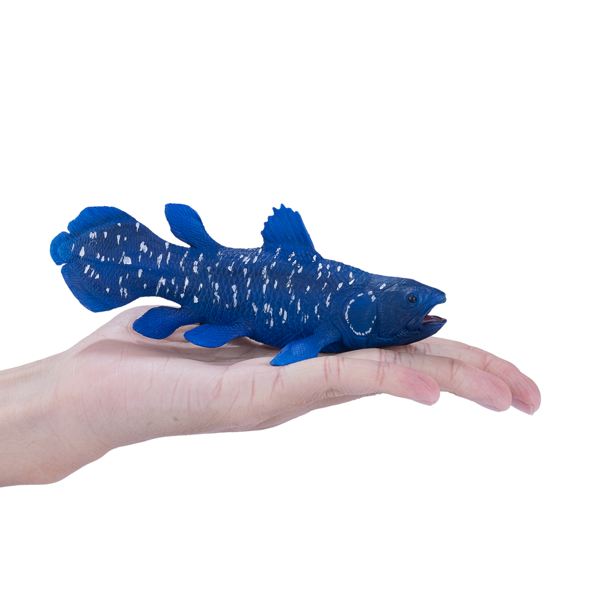 Mojo Fun Coelacanth Toy Figurine – Realistic Prehistoric Fish Model