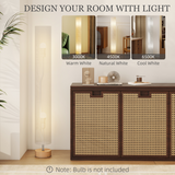 HOMCOM LED Floor Lamp with 3000K/4500K/6500K Colour Temperatures, Grey