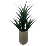 Artificial Agave Tropical Display in Decorative Pot – Realistic Faux Plant for Home & Office
