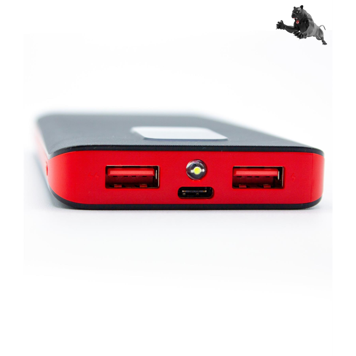 Panther Force 10000mAh Power Bank with PD3.0 22.5W Fast Charging, 2 USB Outputs & LCD Display