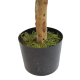 100cm Artificial Dracaena Plant Tree with Pot – Premium Range