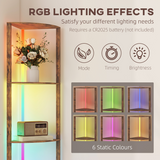 5-Tier Shelf RGB Floor Lamp with Remote