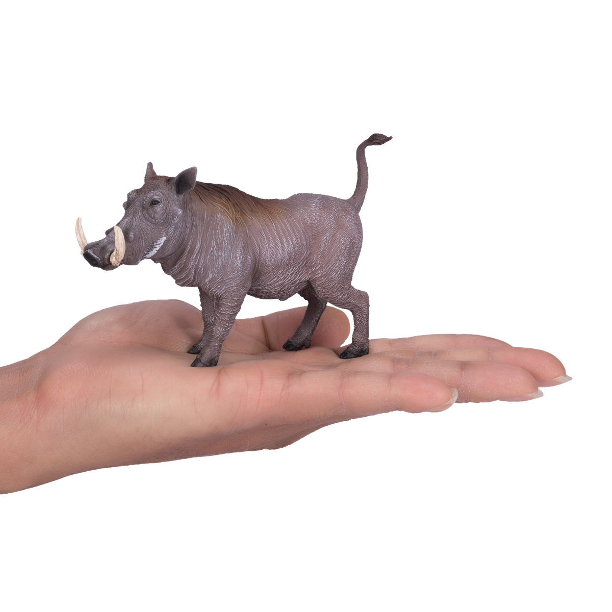 Mojo Warthog Figure – Realistic African Wildlife Toy