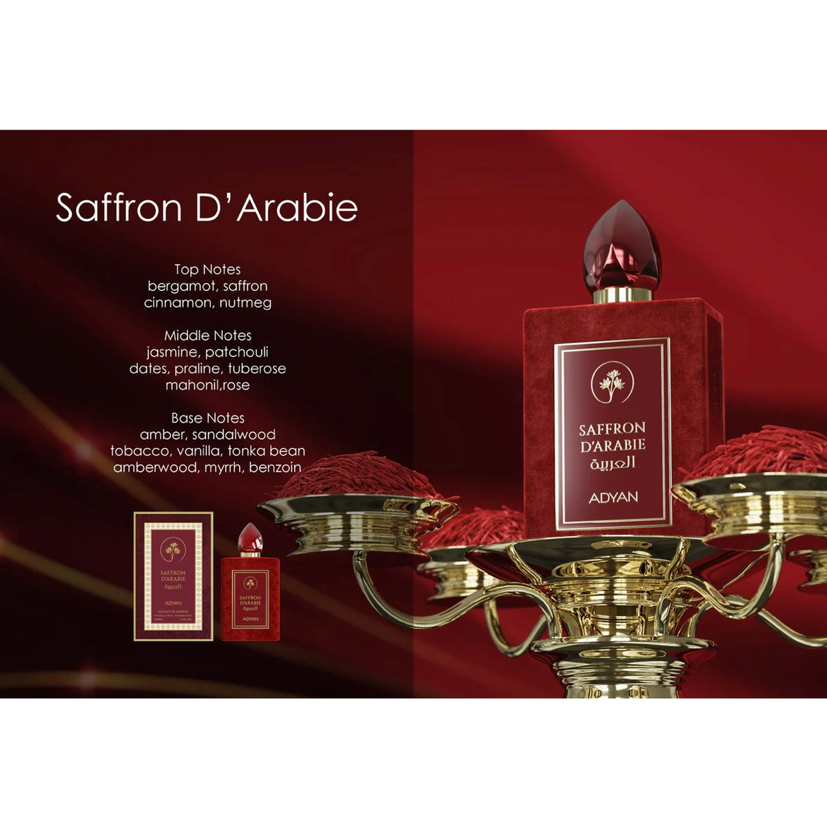 Adyan Saffron D’Arabie - Extrait de Parfum 100ml – Amber & Oriental, Spicy Fragrance, Unisex