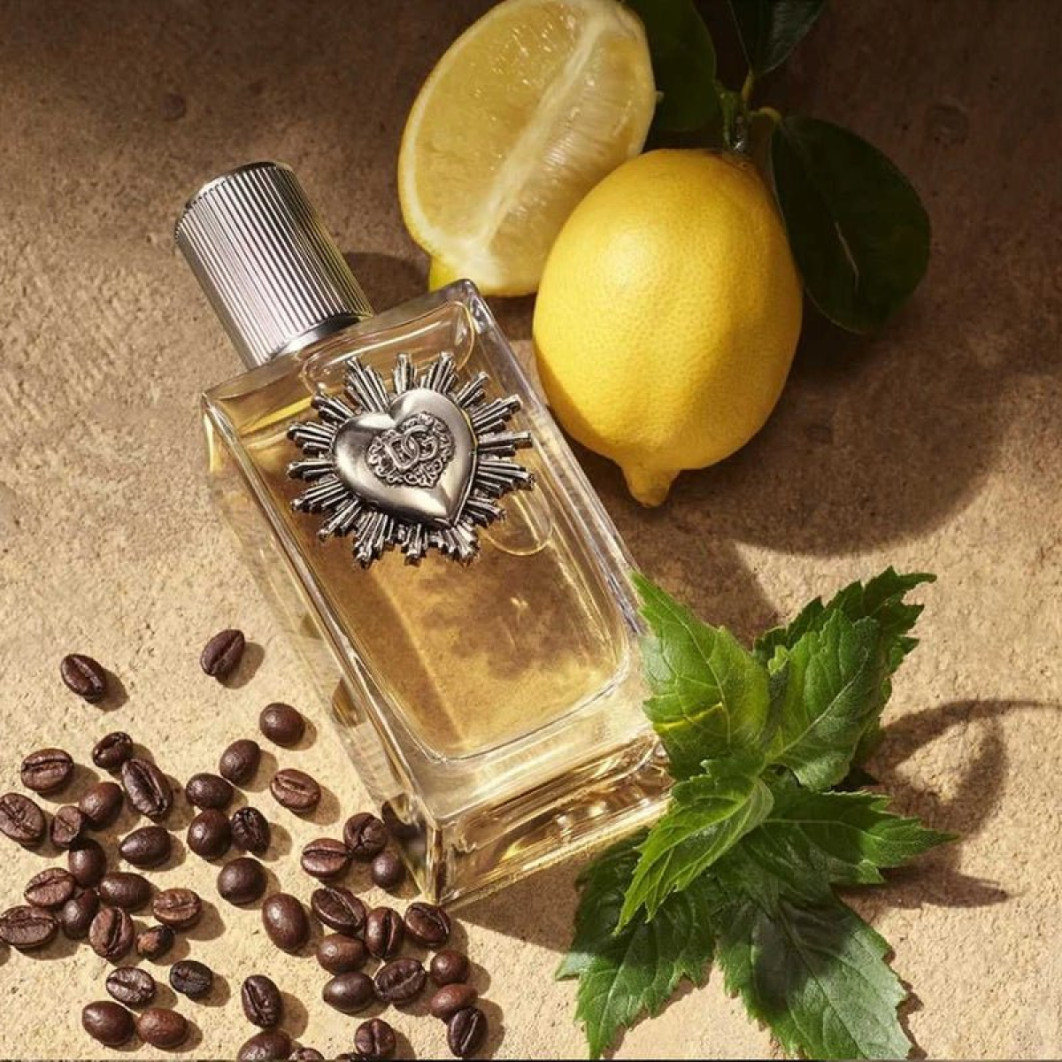 Dolce & Gabbana Devotion Man Eau de Parfum Spray 100ml – Fresh & Citrus, Aromatic Fragrance for Men