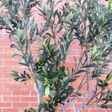 200cm XXL Artificial Olive Tree with Decorative Planter