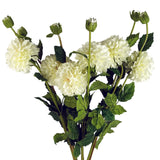 75cm Artificial Dahlia PomPom Flowers – Cream