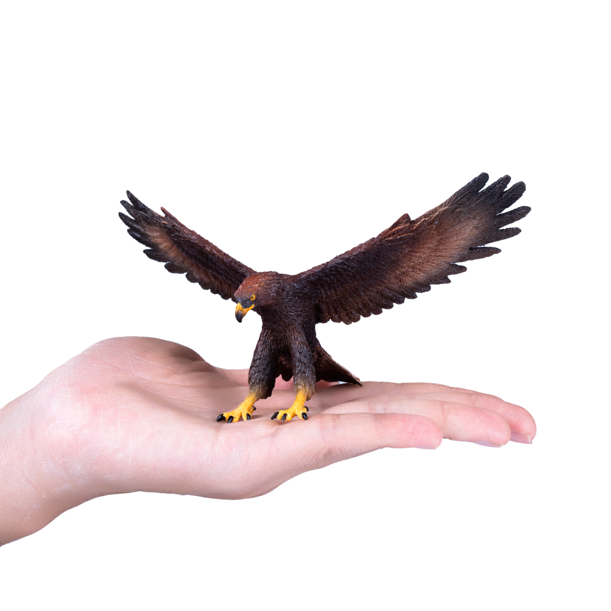 Mojo Golden Eagle Figurine – Realistic Bird of Prey Toy