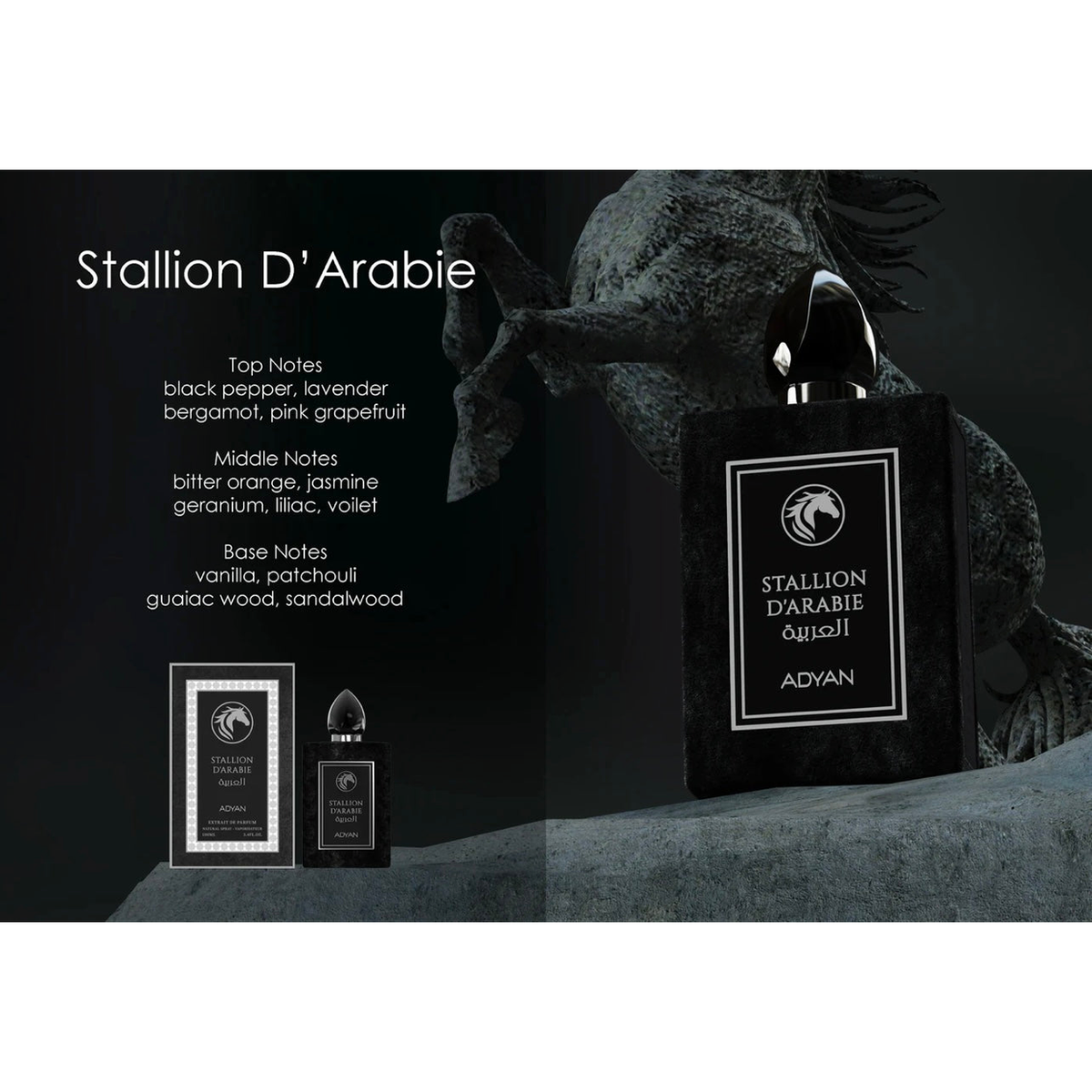 Adyan Stallion D’Arabie - Extrait de Parfum 100ml – Fresh & Citrus, Floral Fragrance for Men