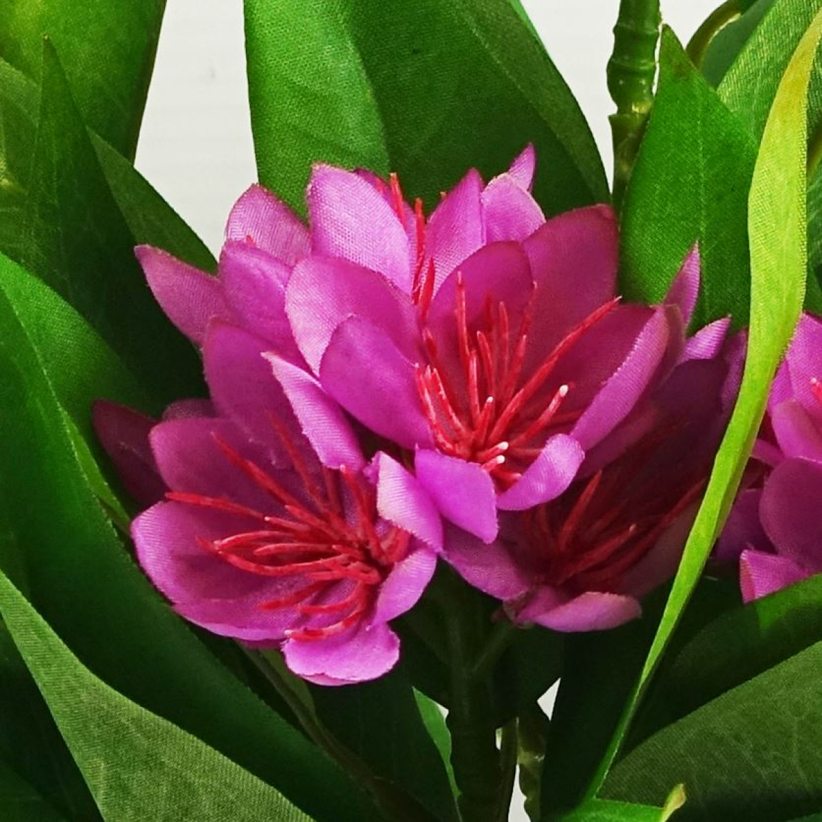 6x 18cm Artificial Freesia Plants in Assorted Colours Flowering