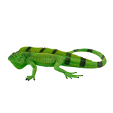 Mojo Iguana Figurine, Hand-Painted Realistic Reptile Toy
