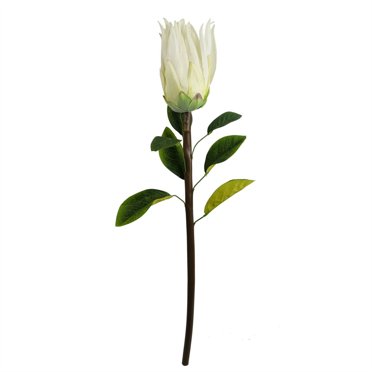 Leaf Protea Sugarbush Artificial Flower Stem with Silk Petals and Wired Stem – 65cm Home Decor, White