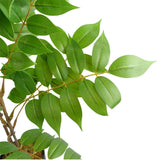Leaf 110cm Artificial Toona Sinensis Tree – Evergreen Realistic Indoor Plant in Weighted Pot