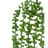 Leaf Artificial String of Hanging Pearls Trailing Foliage, Pack of 6 – Maintenance-Free Hanging Plants, 70cm