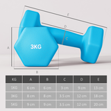 Dumbbell Set with Storage Rack, 18kg Total (2 x 1kg, 2 x 3kg, 2 x 5kg) – Home Gym Hand Weights, Pink, Blue & Purple